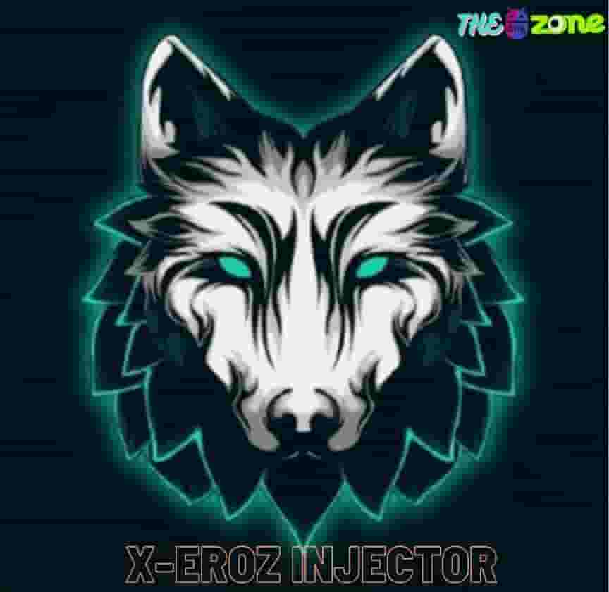 X-EROZ Injector